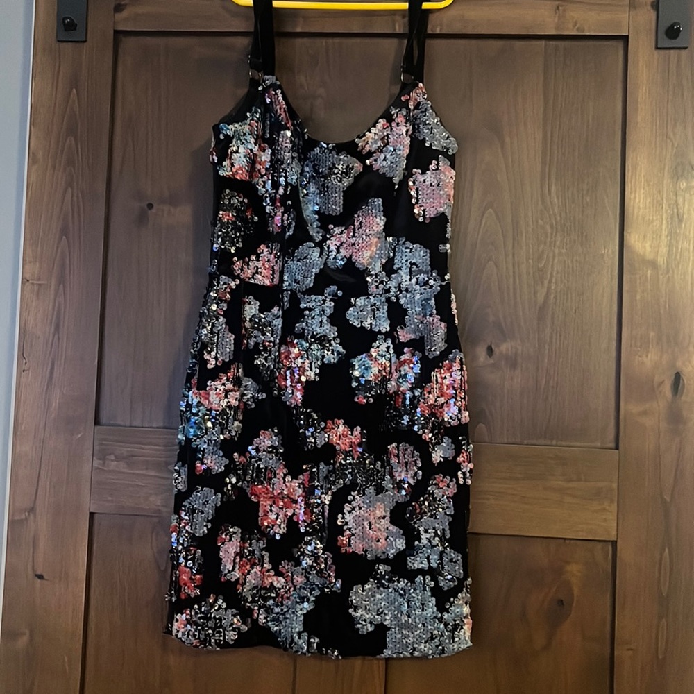 Dress The Population Velvet/Sequin dress